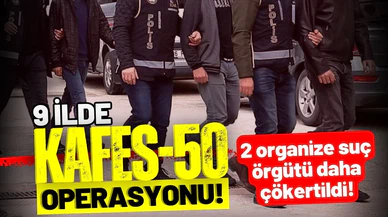 2 organize suç örgütü daha çökertildi!
