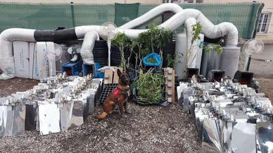 Etimesgut'ta 10 kilo esrar ele geçirildi!