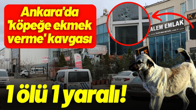 Ankara'da 'köpeğe ekmek verme' kavgası: 1 ölü, 1 yaralı