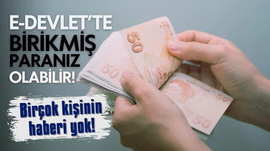 e-Devlet'te birikmiş paranız olabilir!