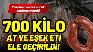 700 kilo at ve eşek eti ele geçirildi: Sucuk yapacaklardı!