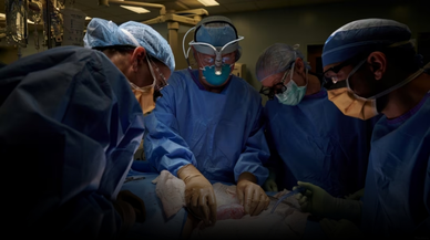 ABD'de, ilk defa bir hastaya domuz böbreği nakledildi!