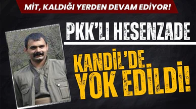 MİT, kaldığı yerden devam ediyor! Biri daha yok edildi