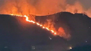 Trabzon'da orman yangını!