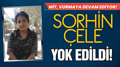 MİT'ten nokta operasyon: Biri daha yok edildi