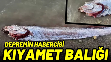 Depremin habercisi olan Kıyamet balığı ortaya çıktı!