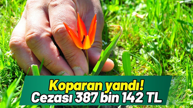Koparan yandı: Cezası 387 bin 142 TL