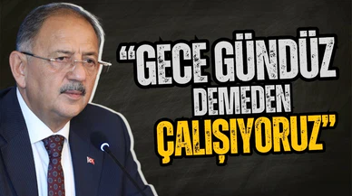 Tanaka Akihiko, Bakan Özhaseki ile bir araya geldi