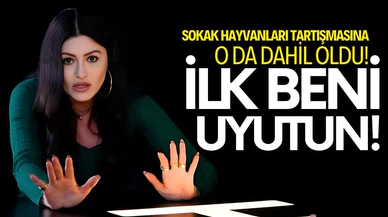 Deniz Çakır'dan sokak hayvanları yorumu: "İlk beni uyutun"