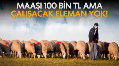 Maaşı 100 bin TL olan o meslekte çalışacak eleman bulunamıyor!