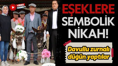 Eşeklere sembolik nikah! Davullu zurnalı düğün yaptılar