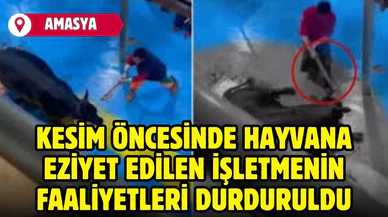 Kesim öncesinde hayvana eziyet edilen işletmenin faaliyetleri durduruldu
