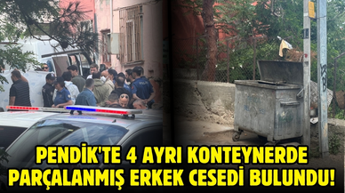 Pendik'te 4 ayrı konteynerde parçalanmış erkek cesedi bulundu