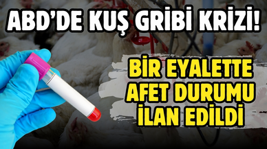 ABD’de kuş gribi paniği: Lowa eyaletinde afet durumu ilan edildi