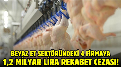 Beyaz et sektöründeki 4 firmaya 1,2 milyar lira rekabet cezası!