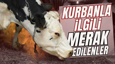 10 soruda kurbanla ilgili merak edilenler