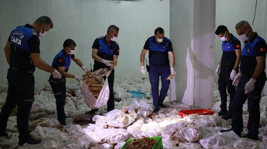 Şanlıurfa'da etiketsiz 10 ton tavuk ele geçirildi