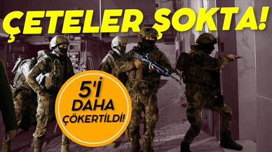 5 organize suç örgütü çökertildi!