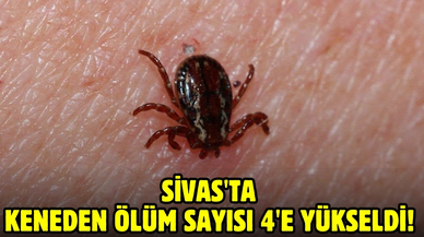 Sivas'ta keneden ölüm sayısı 4'e yükseldi!
