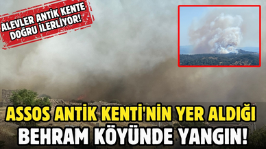 Assos Antik Kenti'nin yer aldığı Behram köyünde yangın!