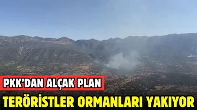 MSB: "Teröristler ormanları yakıyor"