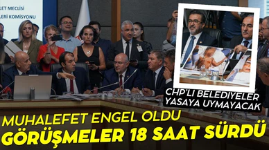 Sokak hayvanları düzenlemesinin komisyon görüşmeleri 18 saat sürdü!