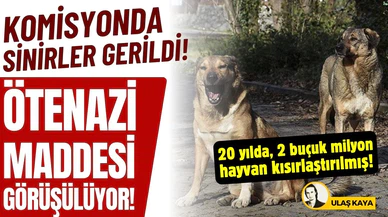 Tartışmalı "ötenazi" maddesi komisyonda görüşülüyor!