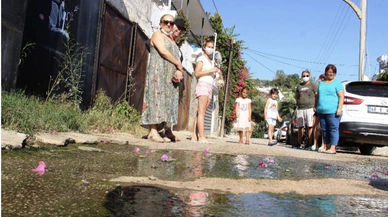 “Bodrum’da Kolera Olacağız”!