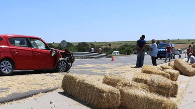 Her şeyin sebebi bir arı