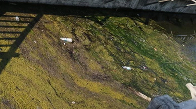 Turizm cennetinde pes dedirten görüntü!