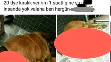 İftirada sınır tanımadılar!