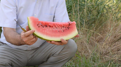 Deveyle taşınıp kılıçla kesiliyor