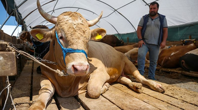 Polis uyardı: Bayram öncesi artıyor