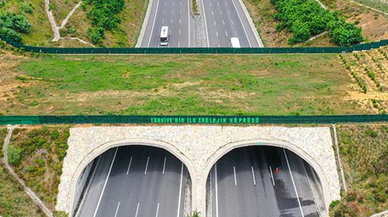 Göz kamaştıran ekolojik köprüler!