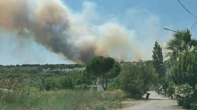 İzmir'de orman yangını