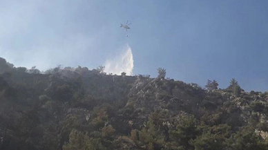 Aydın'da ormanlık alanda yangın