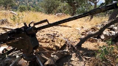 Mehmetçik inlerine girip imha etti