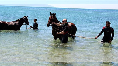 Şampiyon atlar denizde form tutuyor