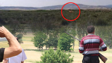 Aslan değil! Çorum'un kaderine bu düştü