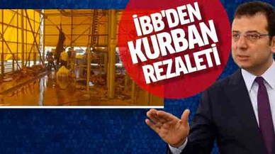 Kasaplar kaçtı, hayvanlar askıda kaldı!