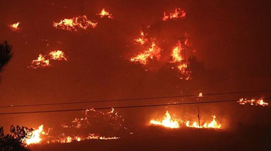 İzmir'de yangın bir siteyi yuttu!