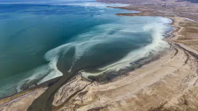 Van Gölü Havzası’nda, yağışlar umut verdi