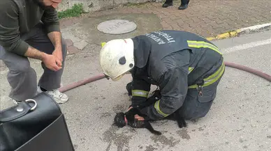 İtfaiye eri dumandan bayılan kediyi kalp masajıyla kurtardı