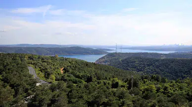 Valilik duyurdu: İstanbul’da ormanlık alanlara giriş 15 Ekim’e kadar yasaklandı