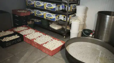 Başkentte 9 ton bozuk süt ve süt ürünü ele geçirildi