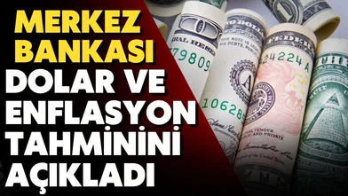 Yıl sonu dolar ve enflasyon tahmini açıklandı