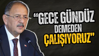 Tanaka Akihiko, Bakan Özhaseki ile bir araya geldi