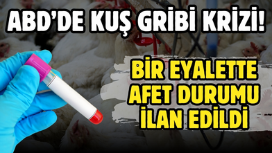 ABD’de kuş gribi paniği: Lowa eyaletinde afet durumu ilan edildi