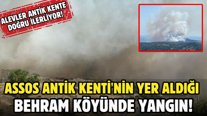 Assos Antik Kenti'nin yer aldığı Behram köyünde yangın!