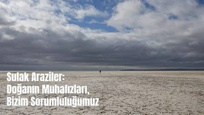 İklim Değişikliğinin Habercisi: Sulak Araziler
